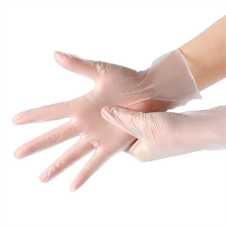 Clear Vinyl Gloves Powder Free