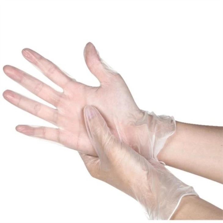 Clear Vinyl Gloves Powder Free