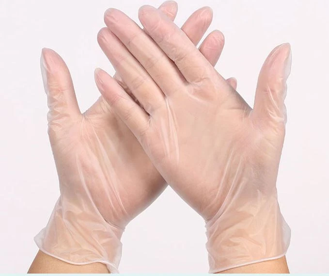 Clear Vinyl Gloves Powder Free
